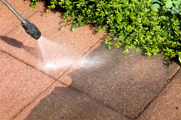 Best Exterior Home Cleaning  in Skyline Ganipa, NM